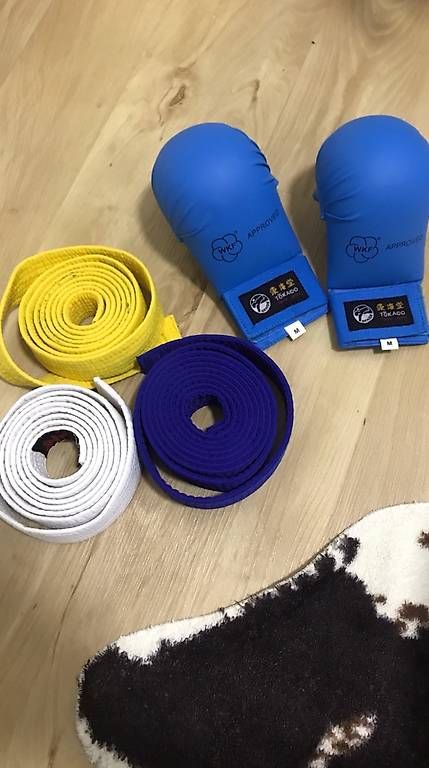 Costumes: Karate Kleider – D'occasion à Altstätten SG par loni08 1