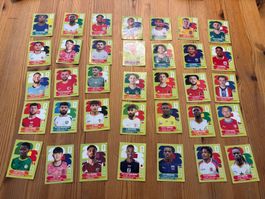Panini