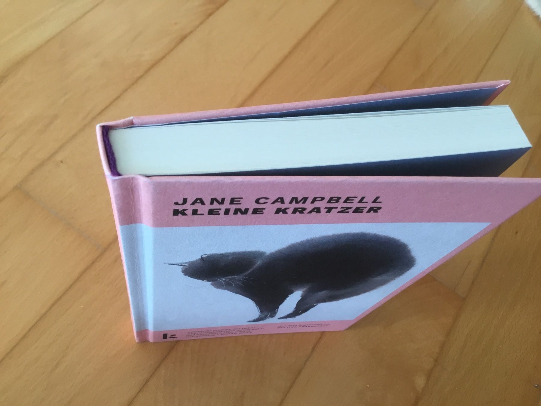 Libri: Jane Campbell - Kleine Kratzer – Usato da Kerzers venduto da Georges3210 3