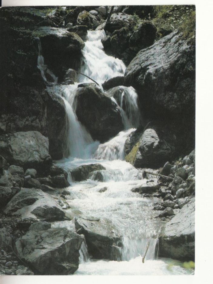 Cartes postales: Beckenried Träschlibach 1977 – D'occasion à Bürglen TG par StampGraf