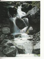 Beckenried Träschlibach 1977