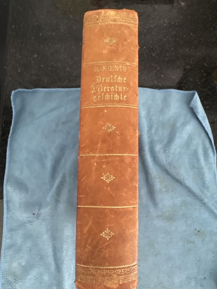Libri: Buch, deutsche Literatur Geschichte 1879 – Usato da Siebnen venduto da Micha1307