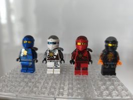 Lego Ninjago Day of the departed ninja lot