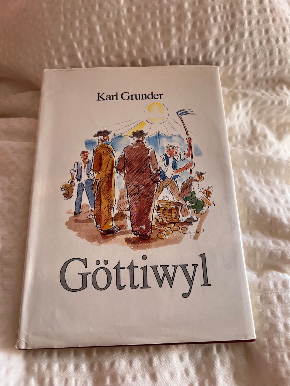 Livres: Buch Göttiwyl – D'occasion à Eschenbach SG par Joey-Li