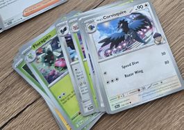 57 stk. Pokemon Karten Bundle - Floragato & Corvisquire Glit