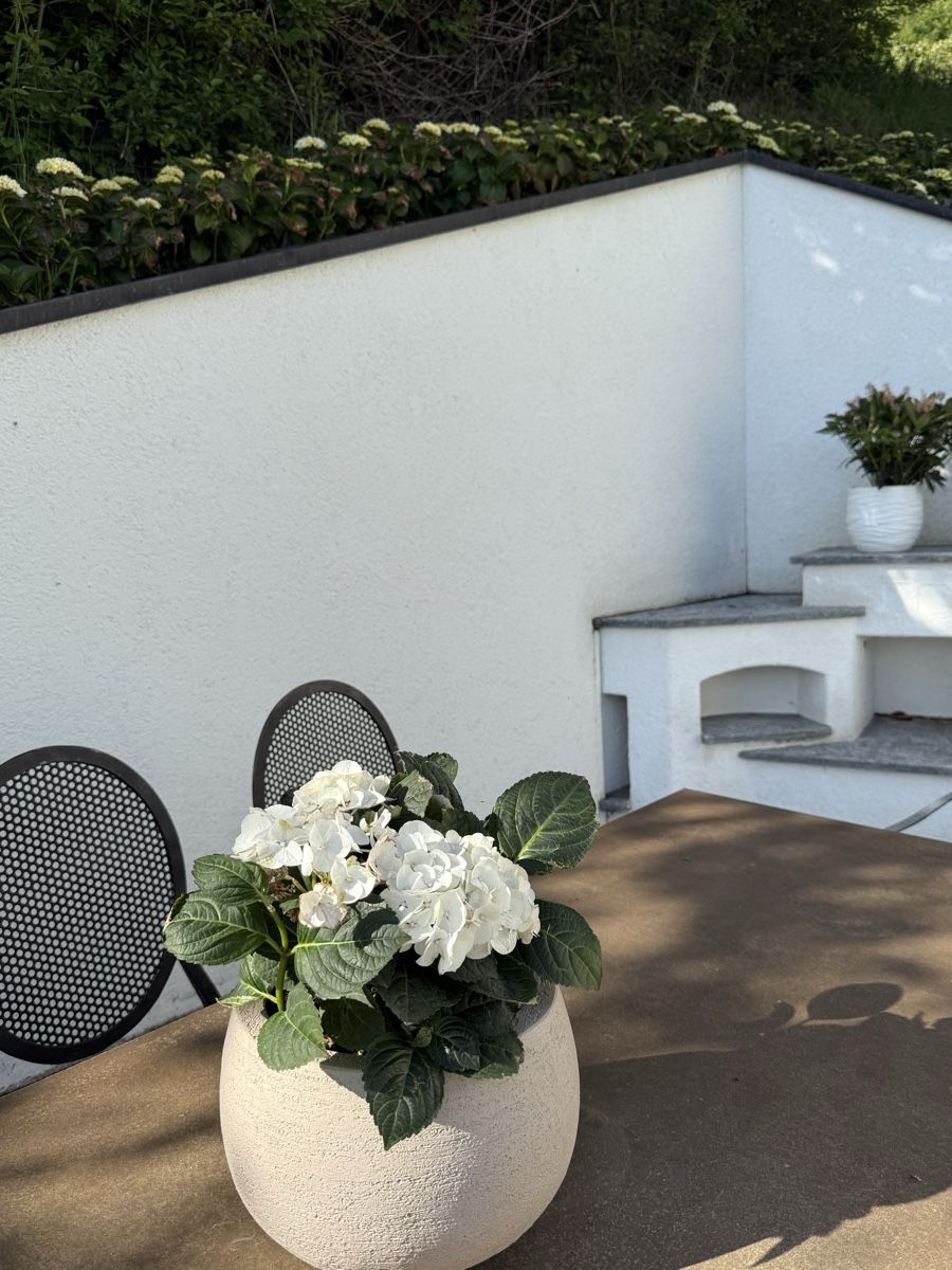 Sedie: Gartenstühle (10x) – Usato da Triesenberg venduto da Laubella 2