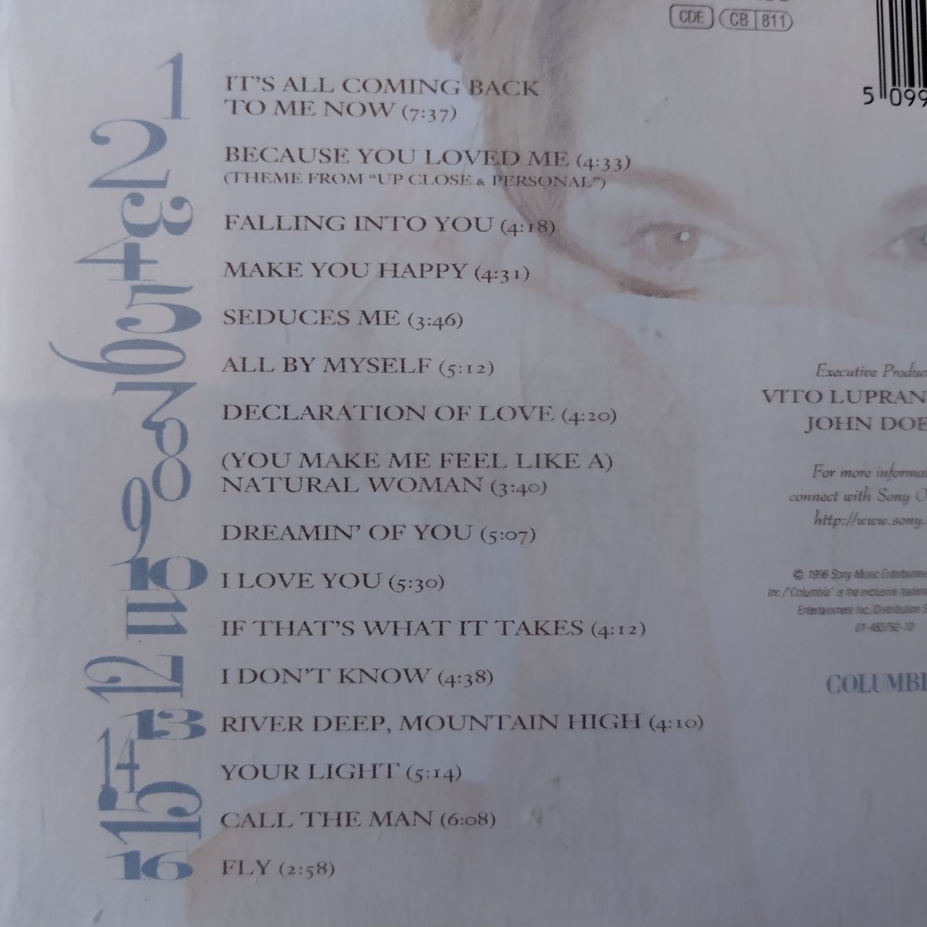 CD: CD von Celine Dion – Usato da Buchs venduto da mdi_mpx5 3