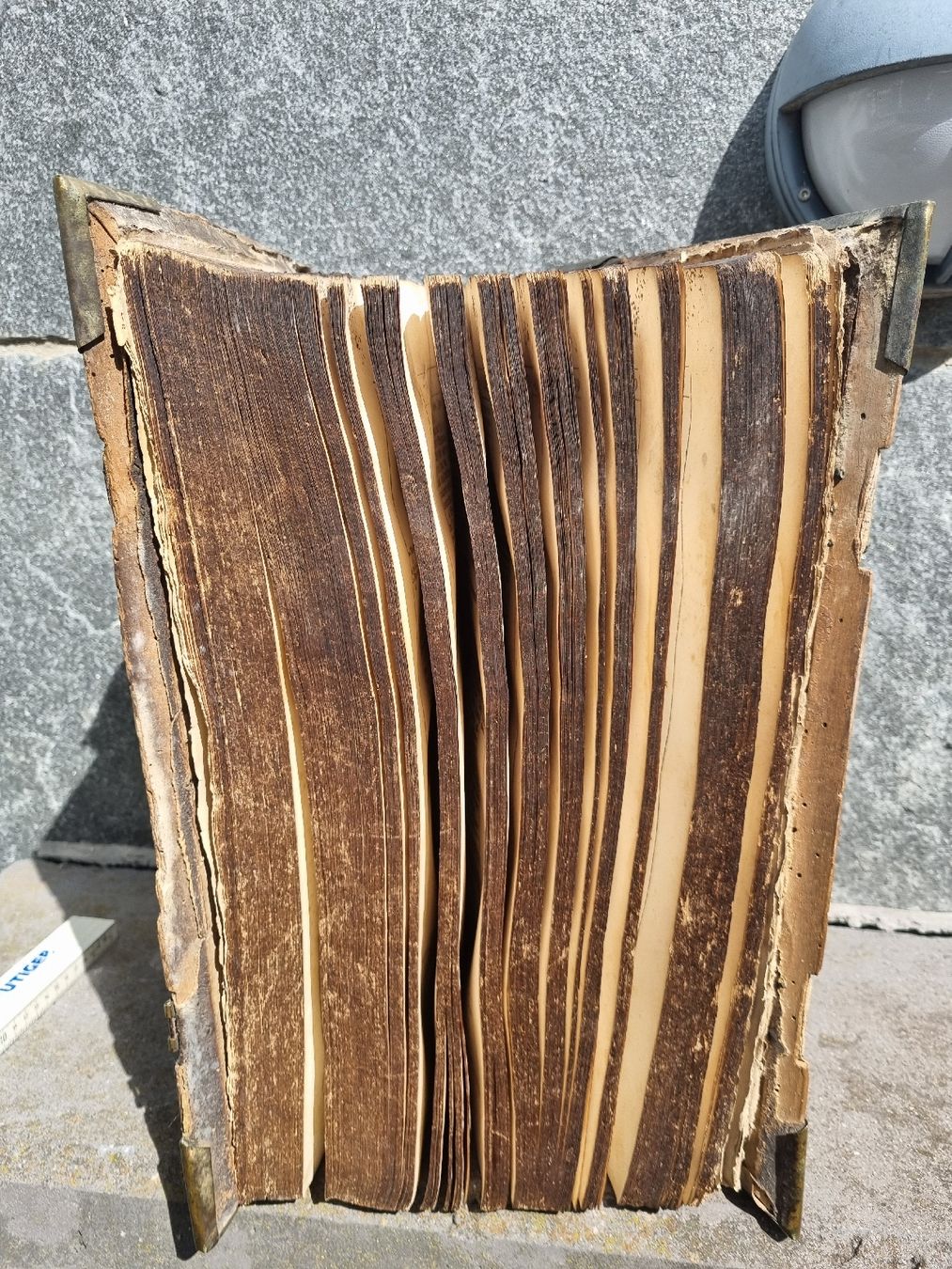 Libri: Antike buch Bibel rare – Usato da Ostermundigen venduto da vintage60 6