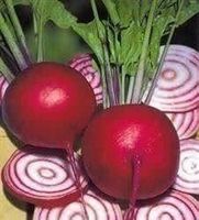 BETTERAVE CHIOGGIA  (rayée) 50g