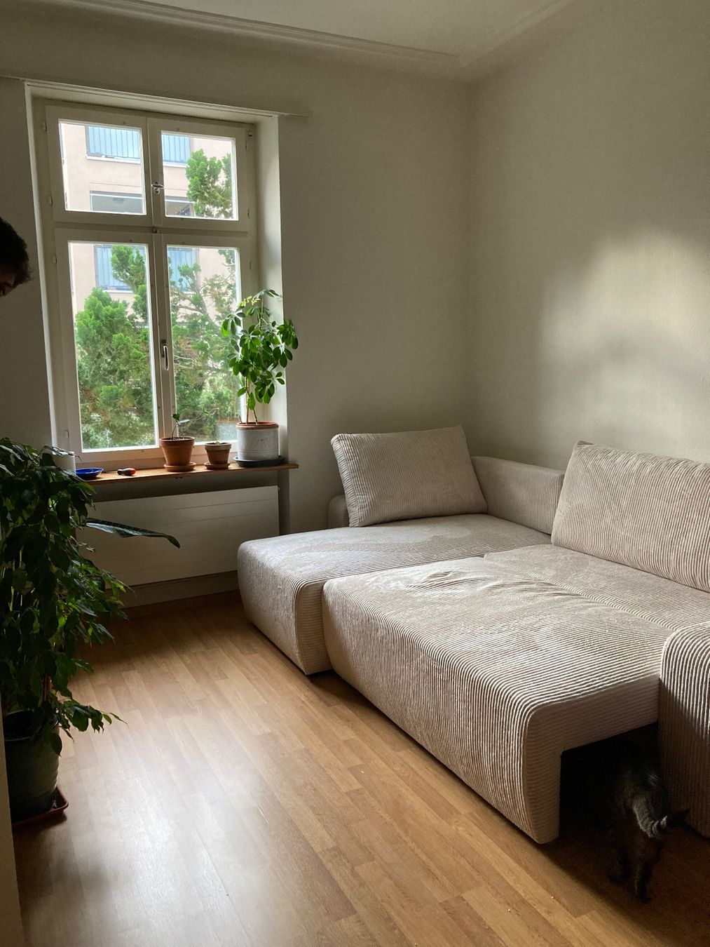 Sofas: Carryhome ECKSOFA Cord Creme Sofa Bettsofa – Neu (gemäss Beschreibung) aus Binningen von kaemlea 1