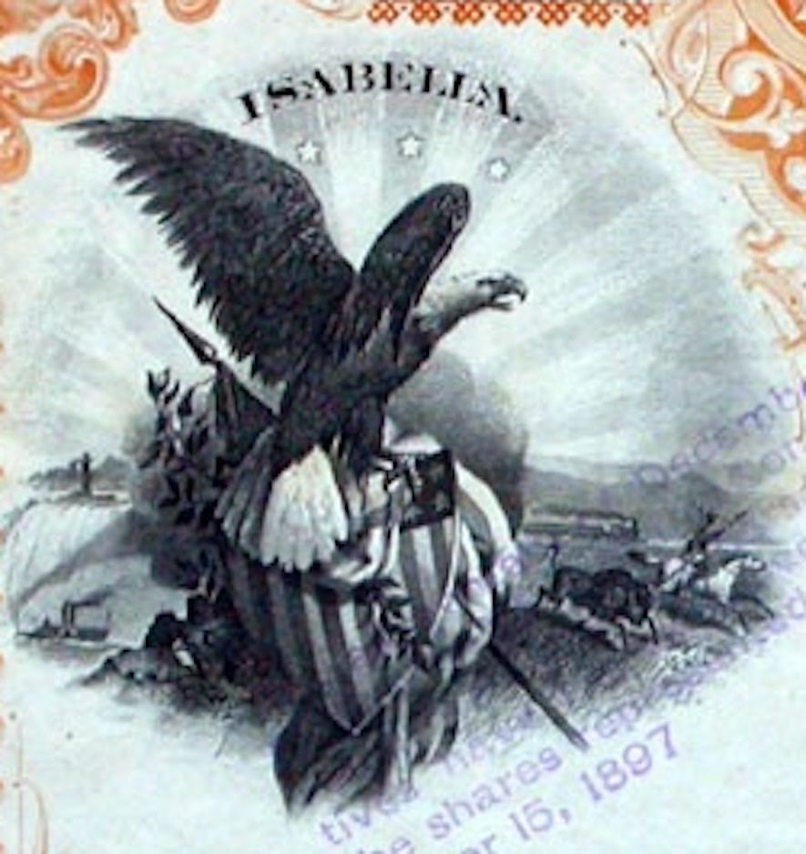 Documenti: Isabella Gold Mining Company - 1895 – Usato da Solothurn venduto da Sgasche 1