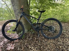 Fahrrad Specialized