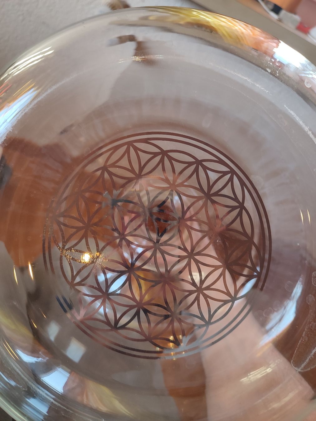 Karaffen: Karaffe Platinum, Lebensblume platin – Gebraucht aus Bettwiesen von rgr_7cr6 1