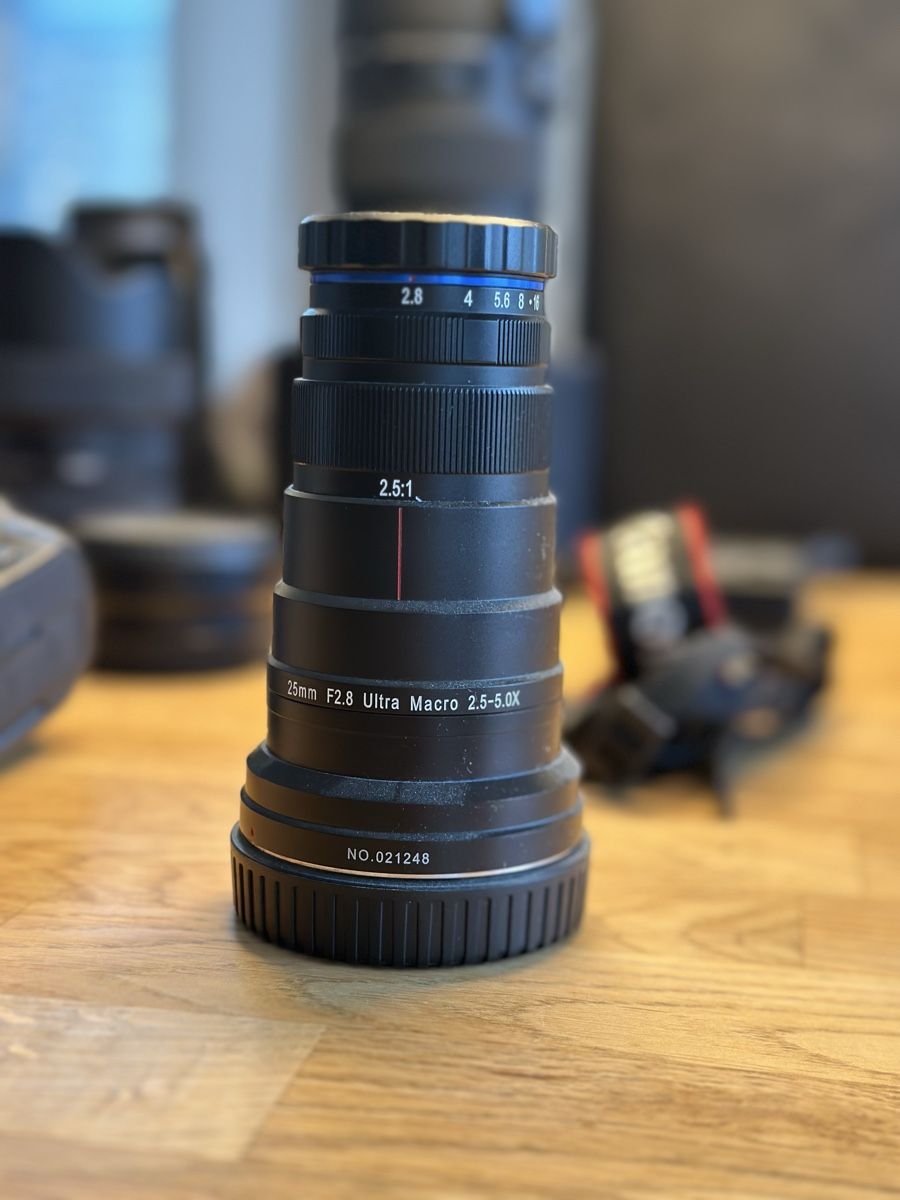 Canon Fotocamera: Canon EOS R6 Mark II + 7 Top-Linsen | Profi-Set – Usato da Dachsen venduto da jan_5msw 6
