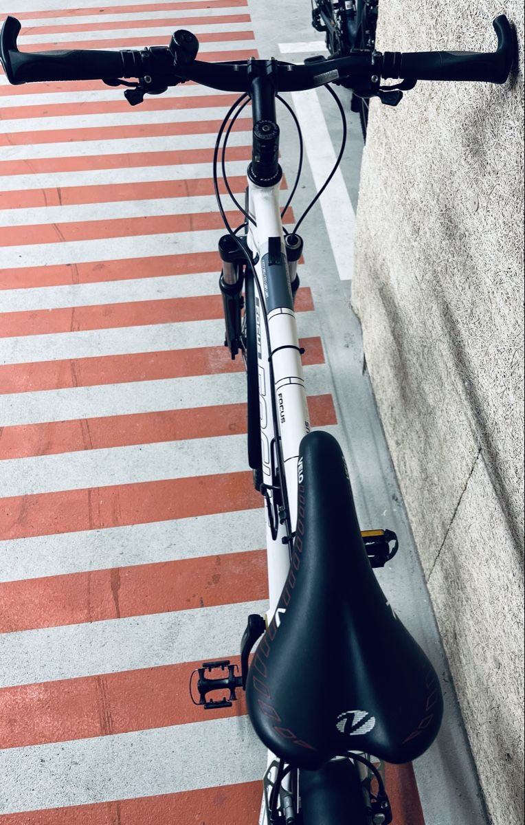 Focus Biciclette: Focus Velo XL – Usato da Zürich venduto da Bidon3011 9
