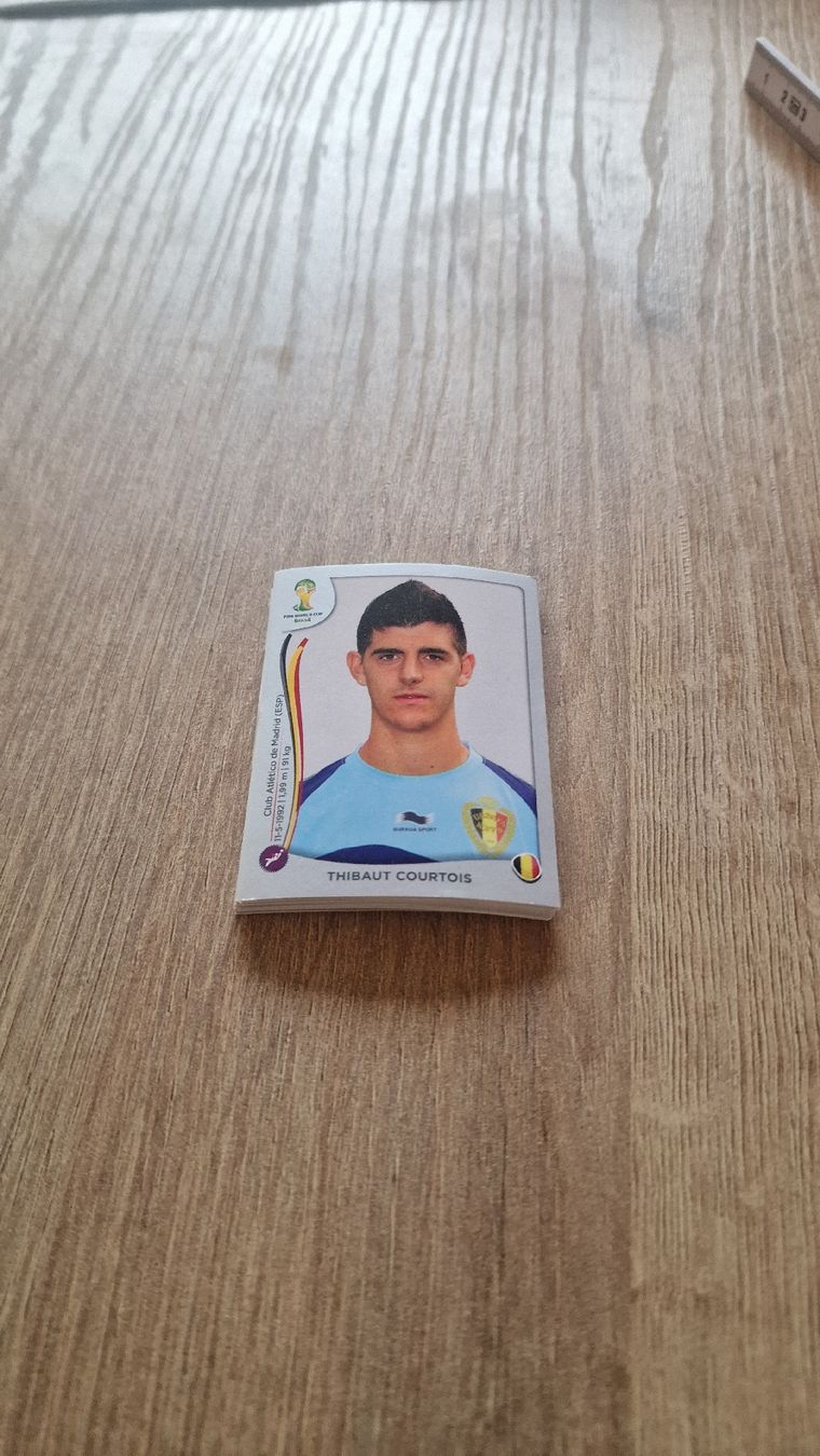 Panini Carte collezionabili: FIFA WM 2014 viele doppelte Sticker – Nuovo (secondo la descrizione) da Wädenswil venduto da slavi10 1