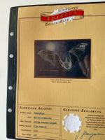 Sonderblock "Braunes Langohr" 2012,Abart: Riss im Ohr