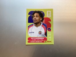Panini Sticker Martin Expérience HAI 4 gebraucht