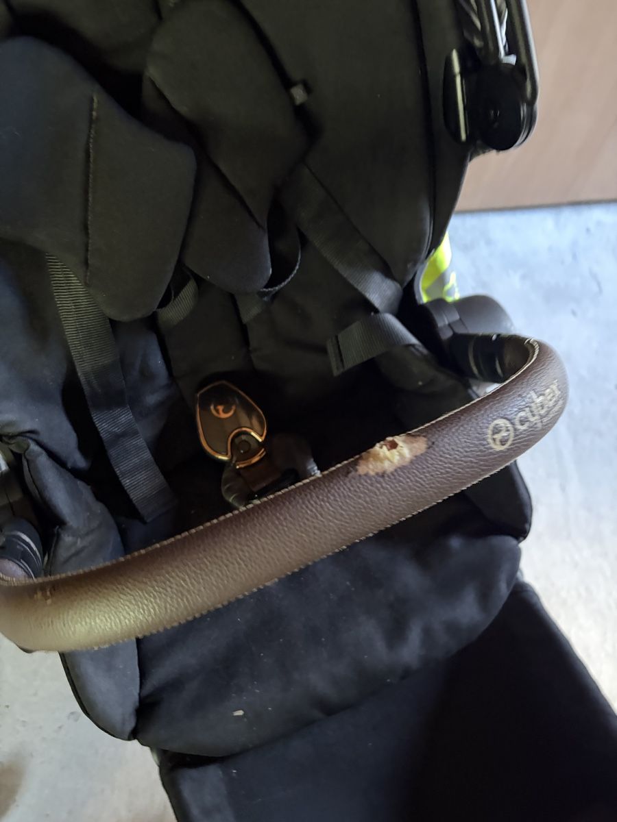 Cybex Kinderwagen: Cybex Priam – Gebraucht aus Evionnaz von kat_nv9f 1