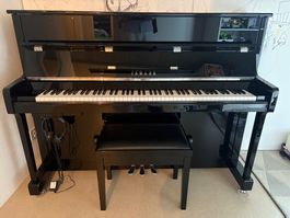 Klavier Yamaha P-116 SH Silent schwarz poliert / Chrom