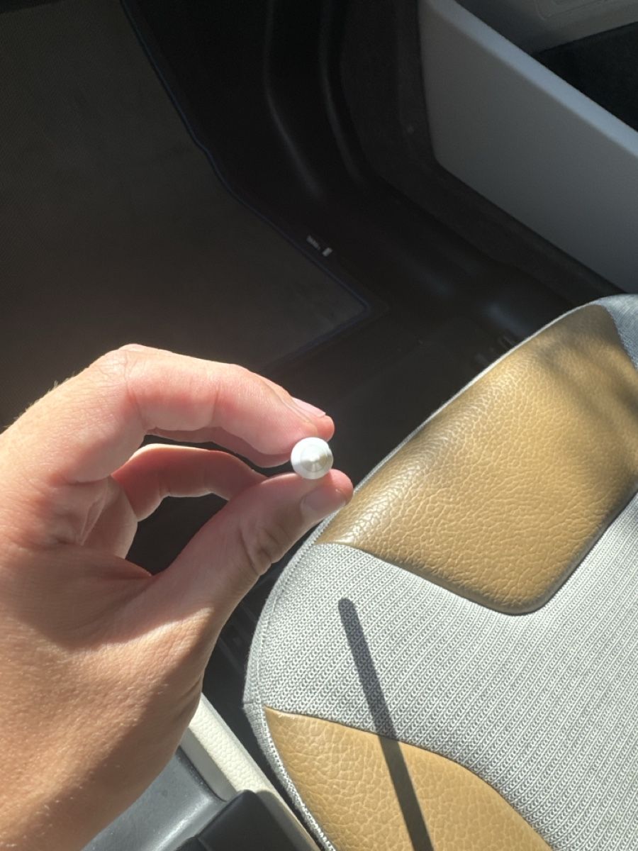 Apple Tablet PC: Apple Pencil Pro – Usato da Wallisellen venduto da ste_tj6y 1