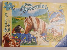 Pony Peppermint Puzzle / 3 x 49 Ravensburger