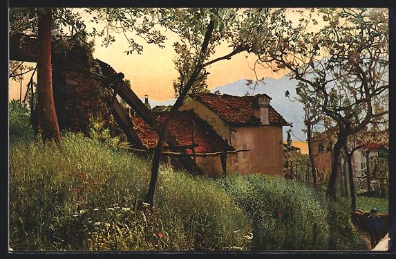 Cartoline postali: AK Ranzo /Lago Maggiore, Ortspartie – Usato da Berlin venduto da bartko-reher