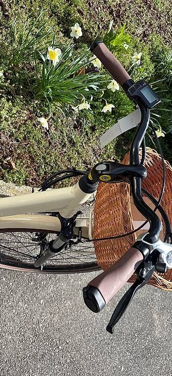 Velos: Damen Vintage EBike – Gebraucht aus Lyssach von Hoferbike 3