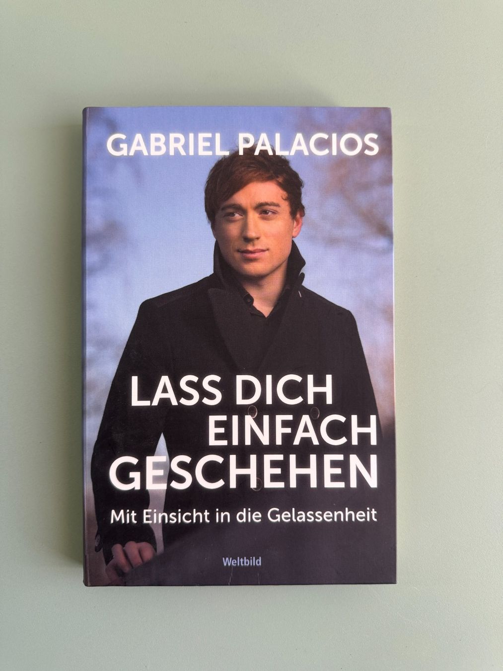 Libri: Lass dich einfach geschehen - Gabriel Palacios – Usato da Kägiswil venduto da Jindujune