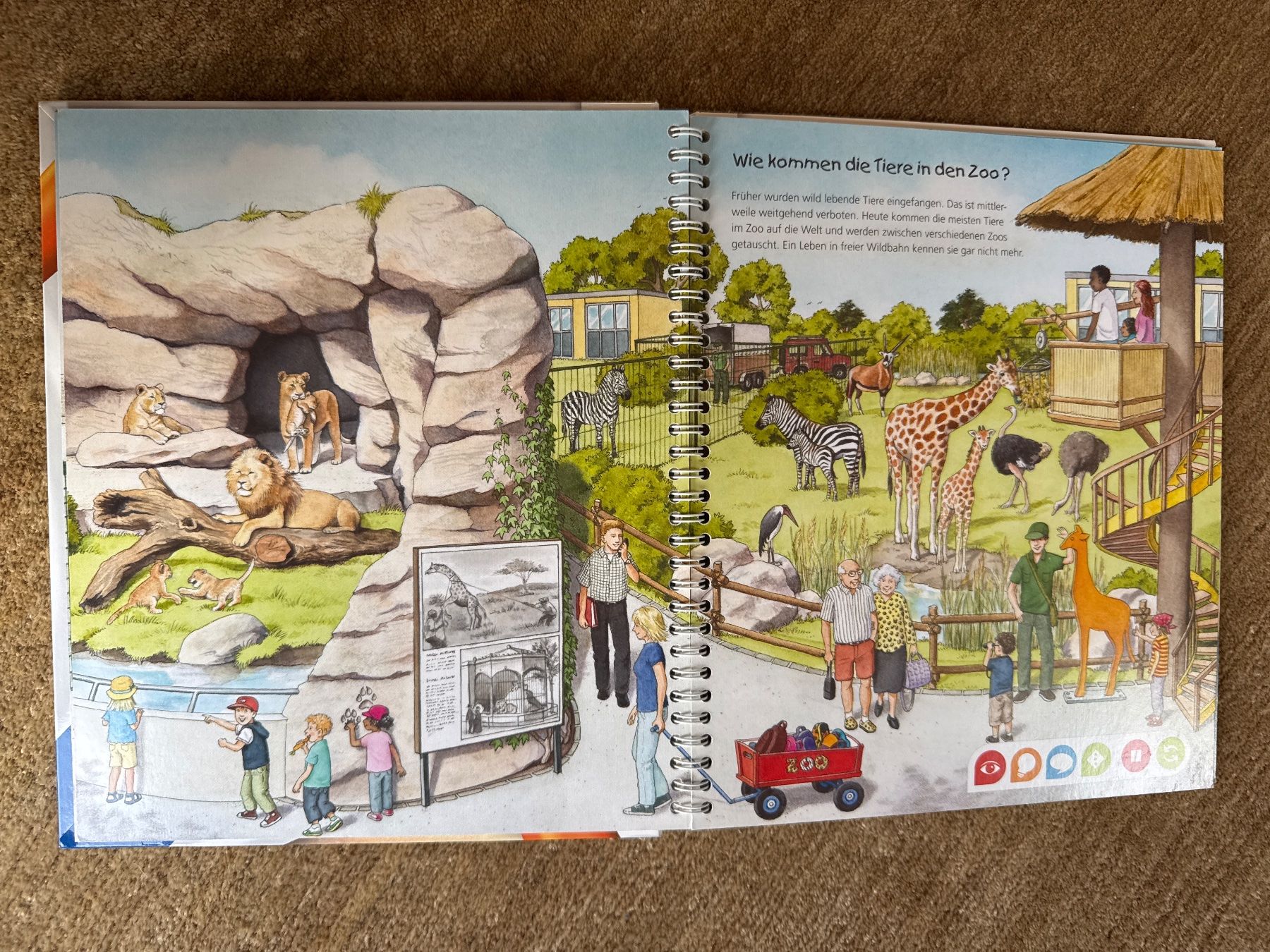 Libri: Tiptoi -  Entdecke den Zoo – Nuovo (secondo la descrizione) da Aarau venduto da Kilauea 2