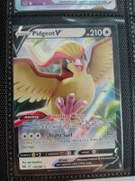 Pidgeot V