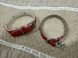 Lot 2 colliers chien WOLFY rouges strass