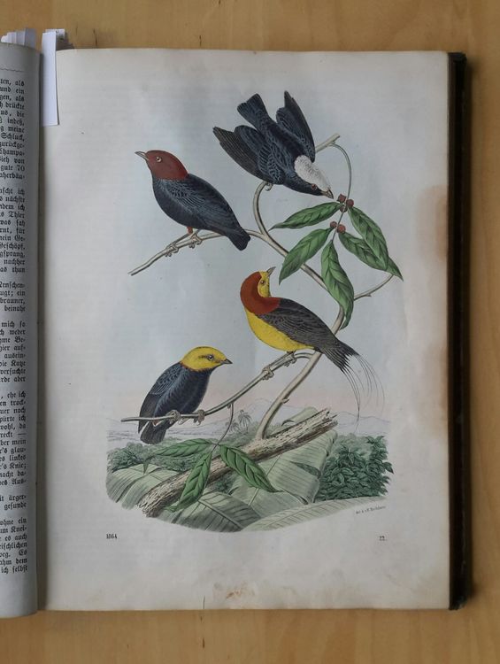Livres: Das Buch der Welt 1864 . Karl Hoffmann , Stuttgart . – D'occasion à Burgdorf par Olli.34 6