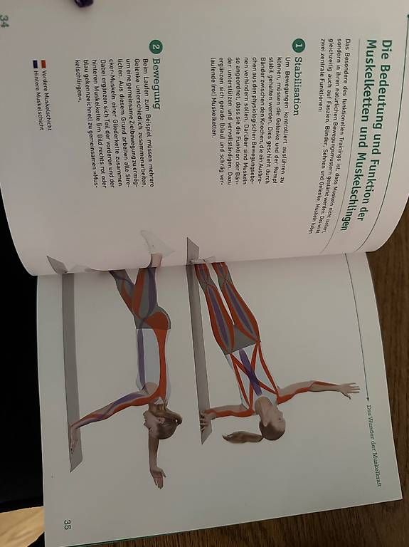 Bücher: Buch von Christine Theiss – Neu und originalverpackt aus Boll von kuschel02 1