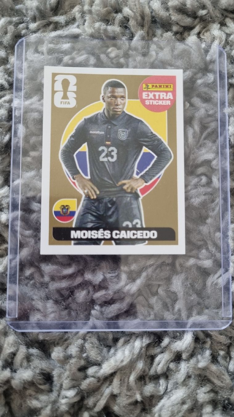 Panini Cartes à collectionner: Panini Extra Sticker – D'occasion à Lausen par pga_6xwg