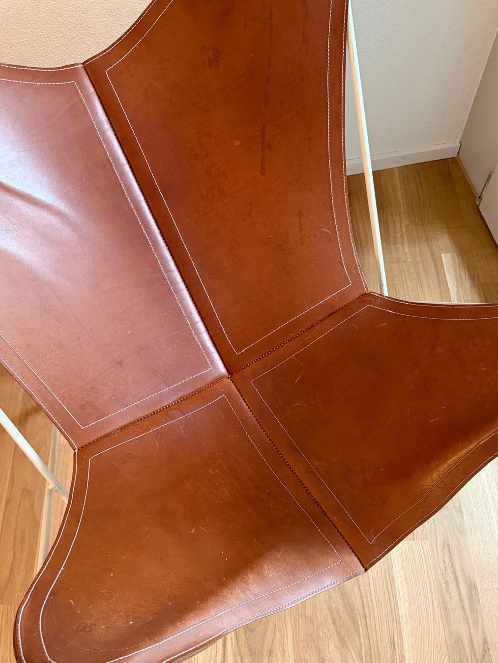 Poltrone: MARIPOSA Leder Sessel – Usato da Zürich venduto da sandicandi 1