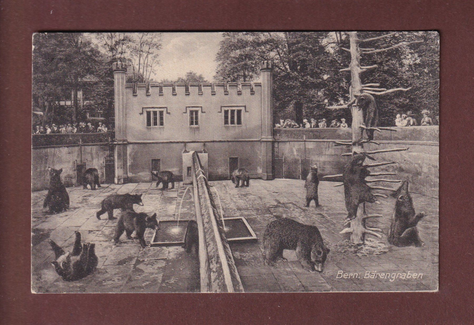 Ansichtskarten: BERN - Bärengraben - 1920 – Gebraucht aus Pully von nicecards-shop