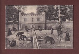 BERN - Bärengraben - 1920