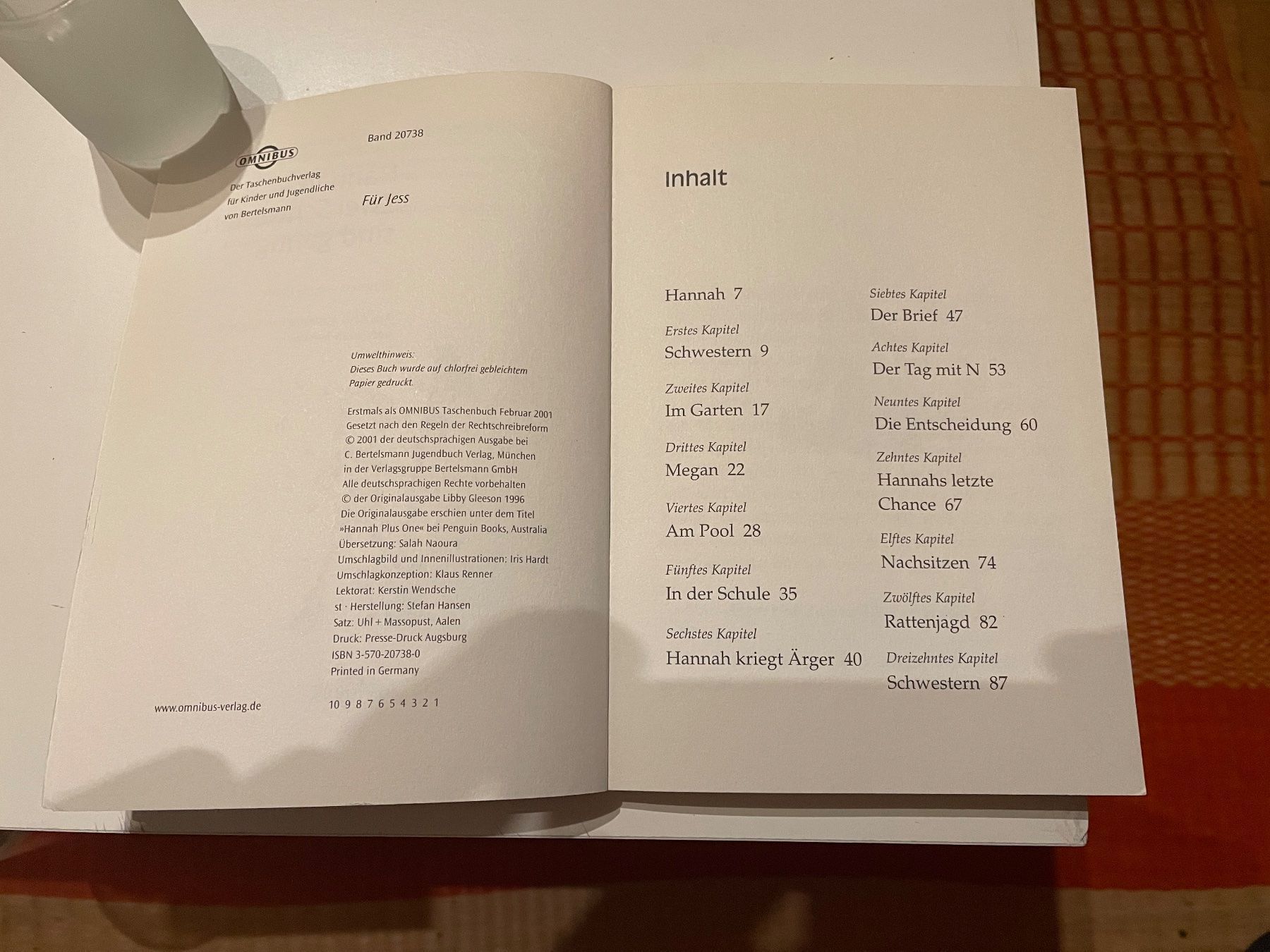 Libri: Hannah - Zwei Schwestern sind genug – Usato da St. Gallen venduto da elk2020 1