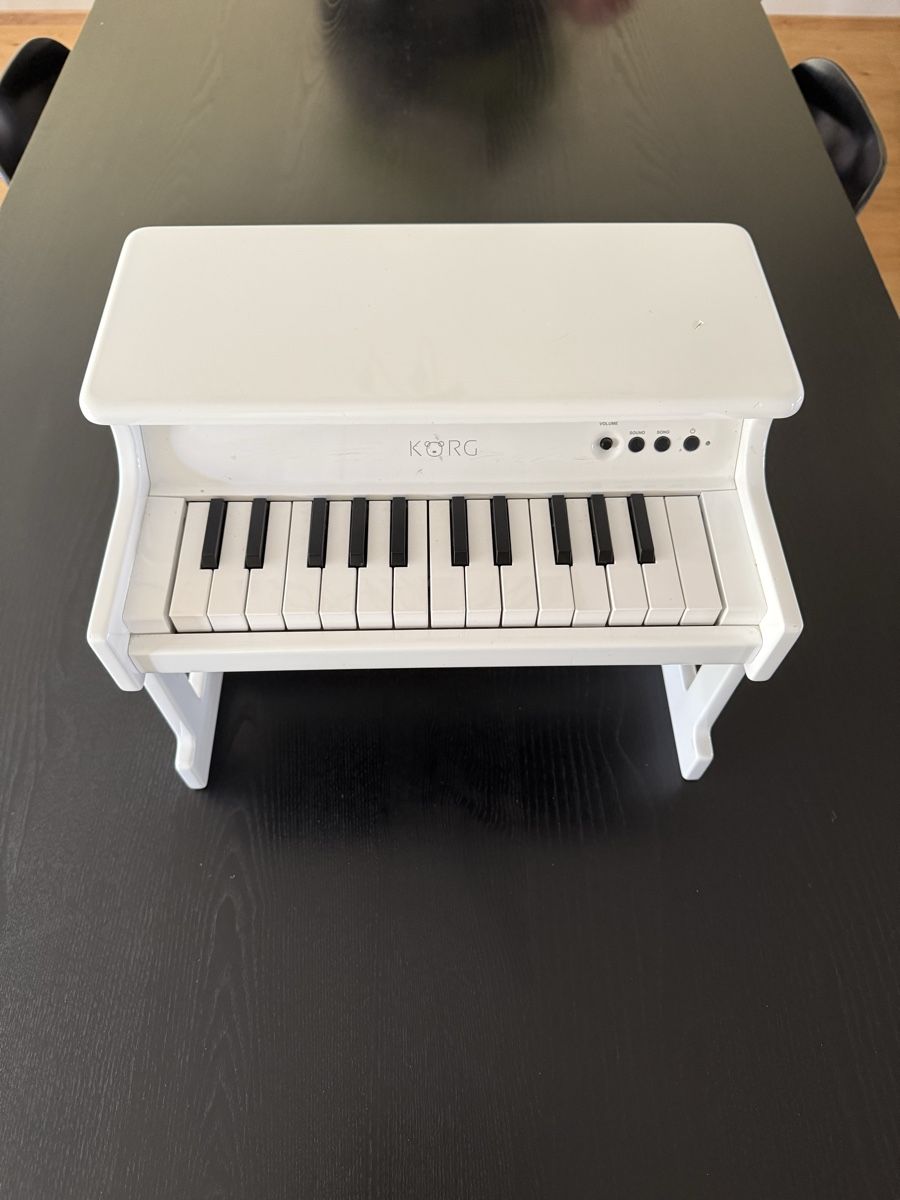 Korg Strumenti musicali: KORG tinyPiano Mini Klavier, weiss! – Usato da Arlesheim venduto da COMA14