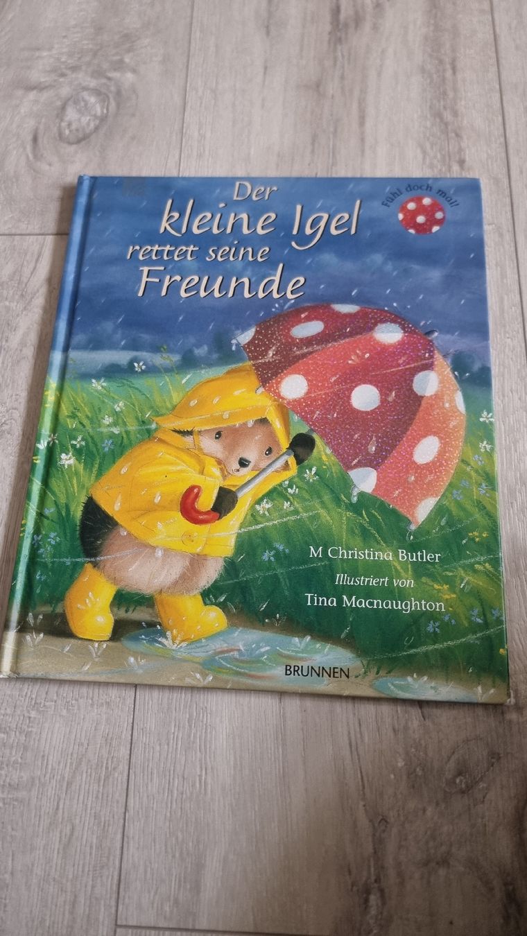 Bücher: Kinderbuch: Der kleine Igel rettet seine Freunde. – Gebraucht aus Wigoltingen von Zuckerfee84