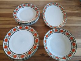 Vintage Orchard Dinnerware Set - 14 Pieces - Autumn 🍎