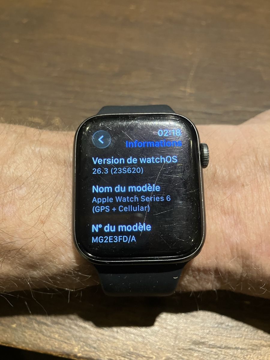 Apple Smartwatch: Apple Watch 6 cellular – Usato da Gillarens venduto da St-ephane 1