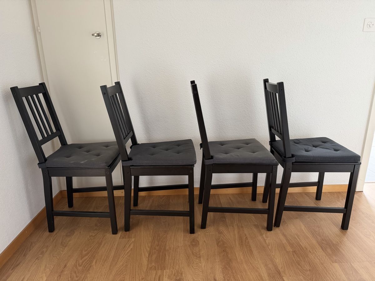 Ikea Sedie: 4 IKEA STEFAN chairs black. Including cushions – Usato da Uster venduto da ann_658q 2