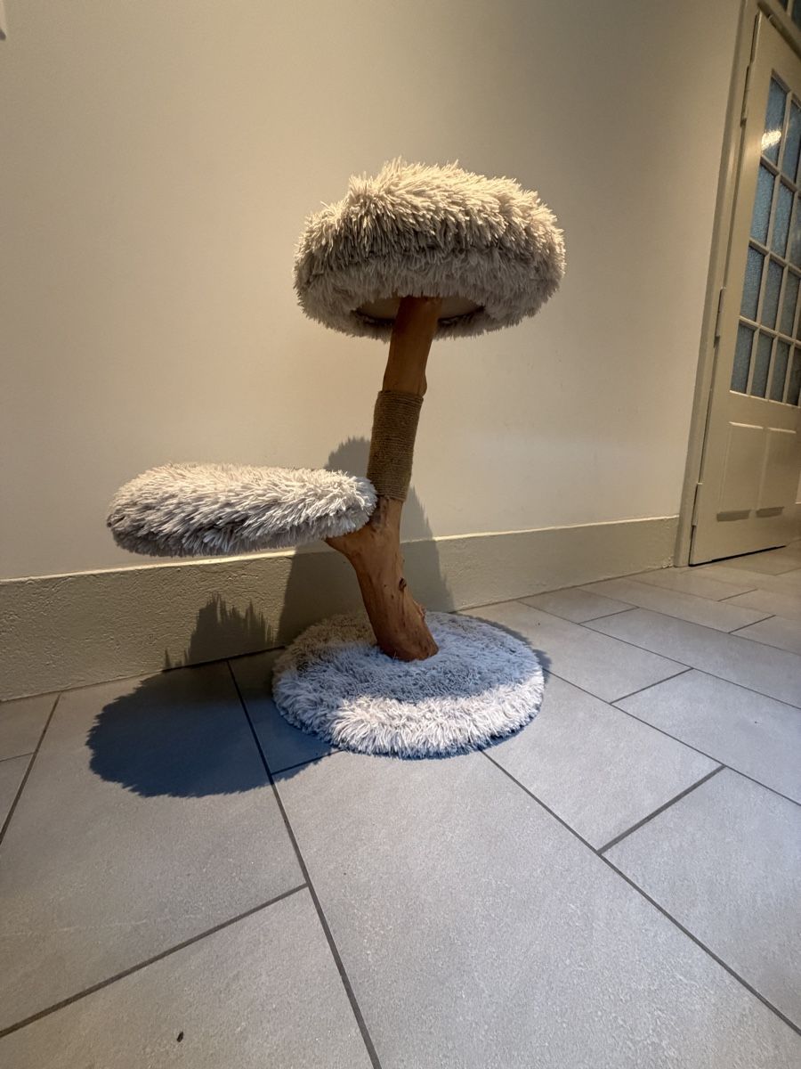 Tiragraffi: Katzenbaum Holz, Grau – Usato da Thun venduto da frieddi1 1