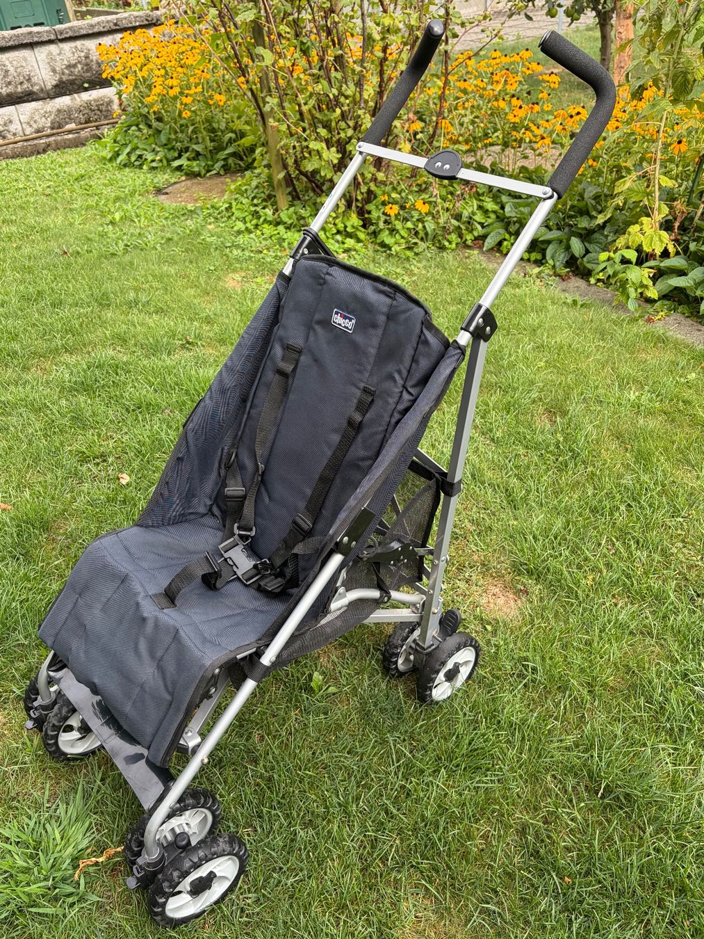 Chicco Kinderwagen: Chicco-Buggy – Gebraucht aus Ennetbürgen von Birkenbaum5 1