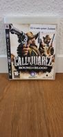 PS 3 - Call of Juarez Bound in Blood
