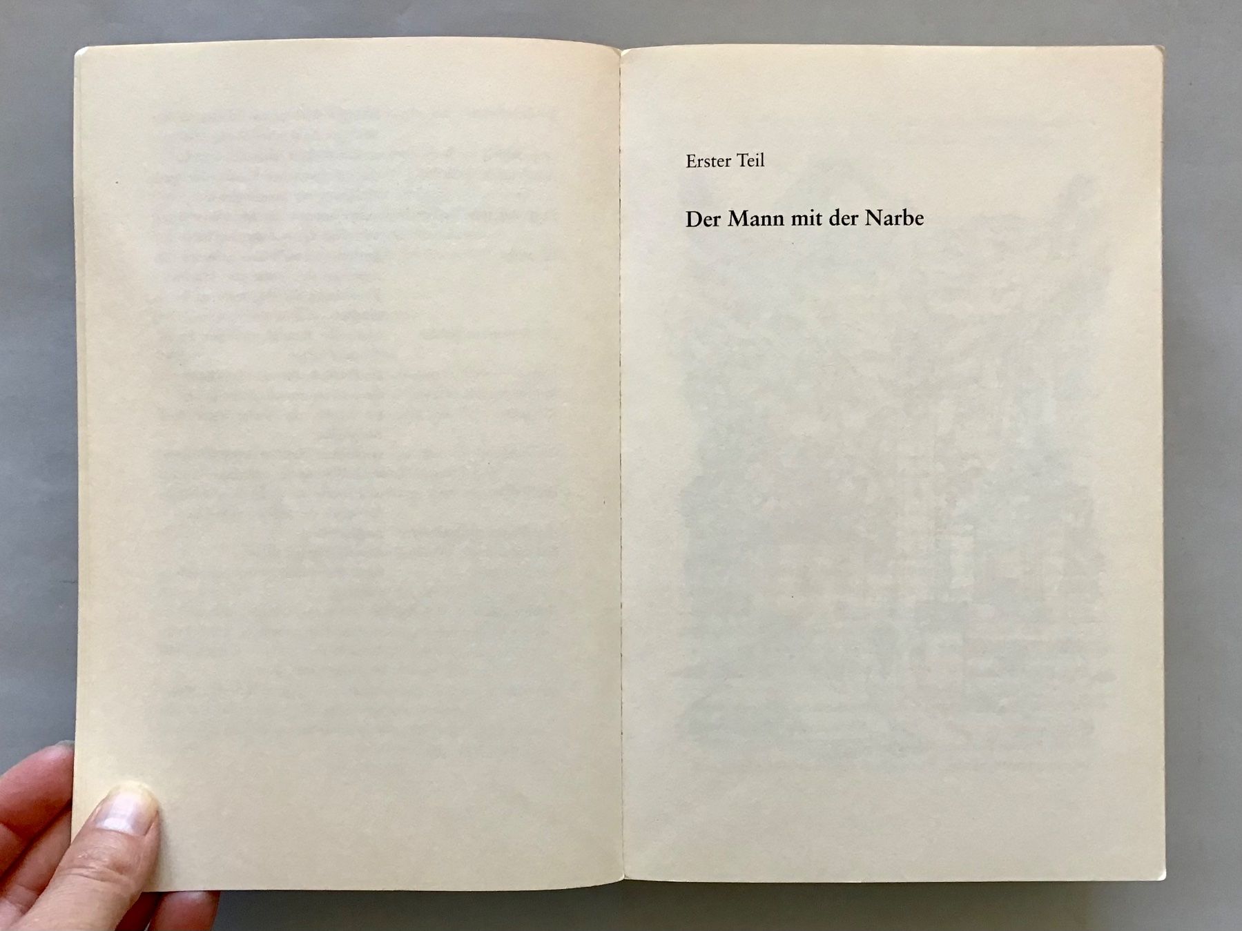 Libri: Lisa Tetzner: Die Schwarzen Brüder – Usato da Bubendorf venduto da Alpenheidi 5