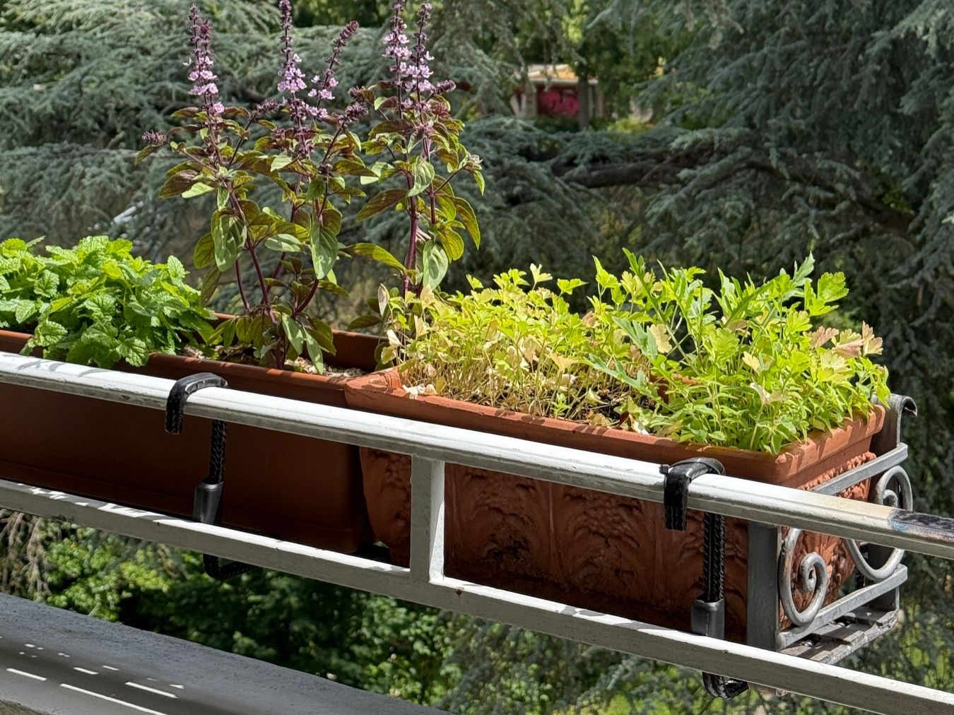 Vasi per fiori: Pflanztrog Metall für Eckbalkon – Usato da Basel venduto da Barty