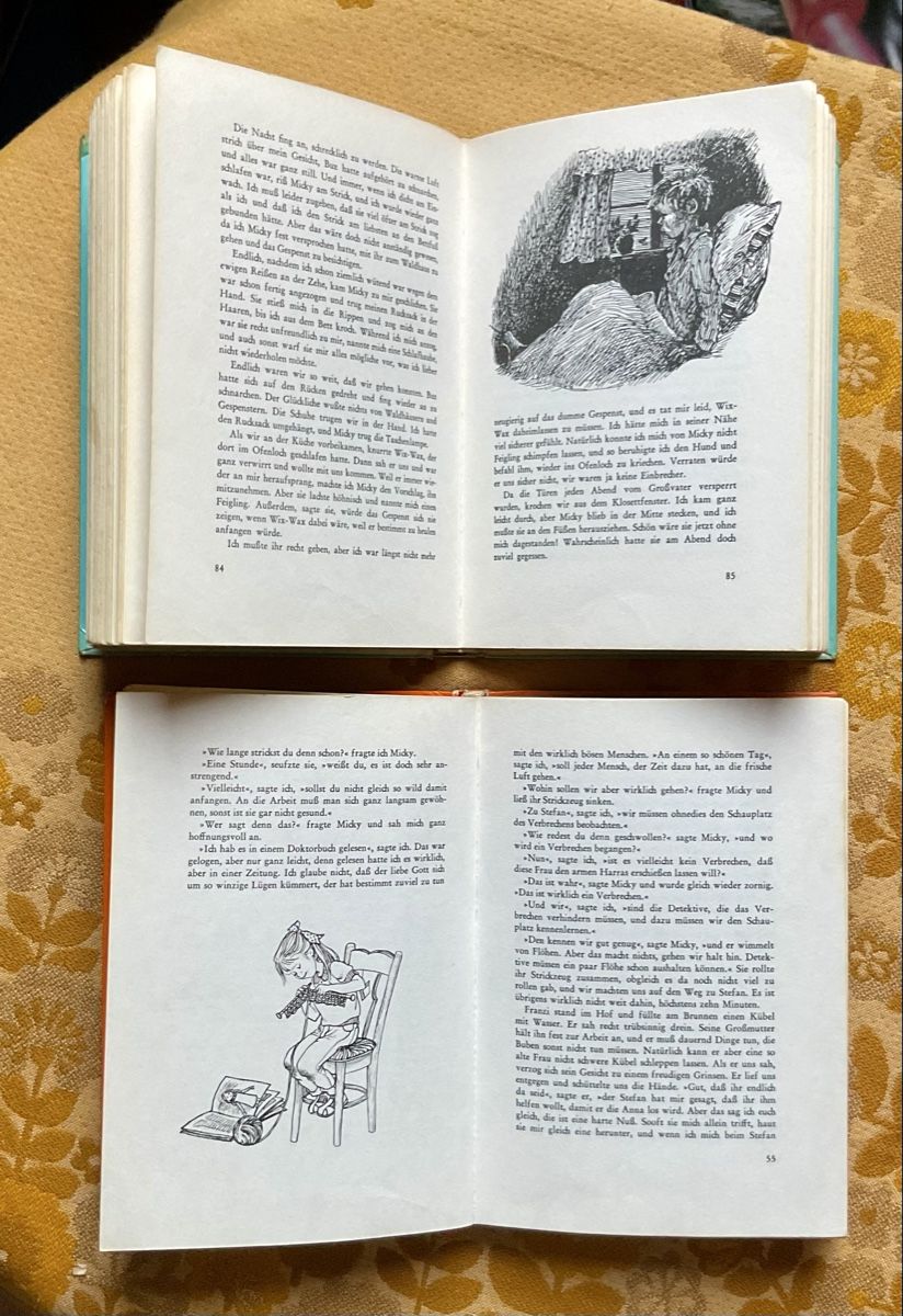 Libri: 2 Kinderbücher von Marlen Haushofer – Usato da Endingen venduto da nathan05 6